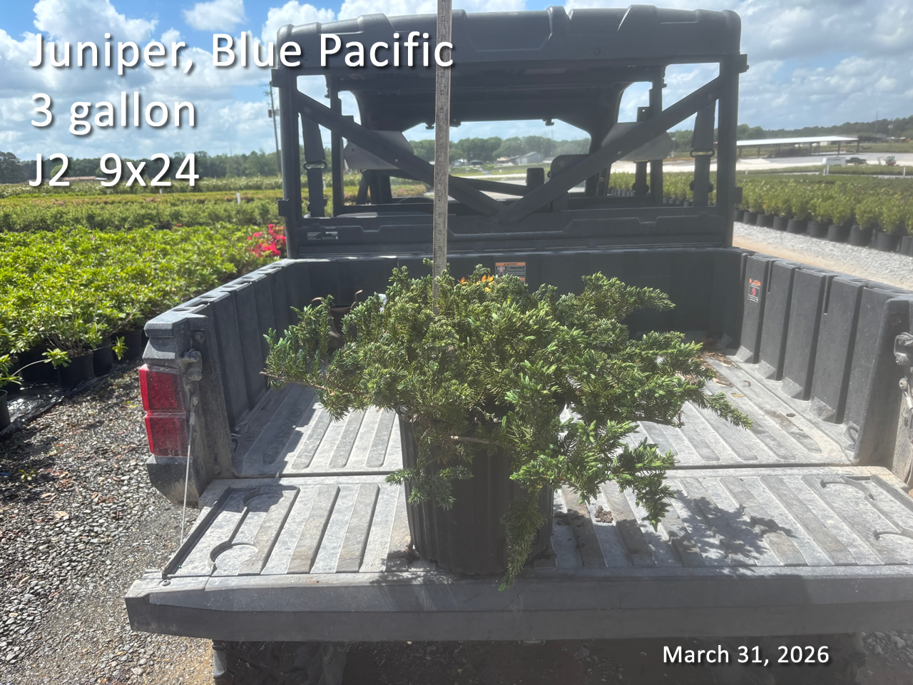 gallery/jbpac3 j2 mar31.jpg